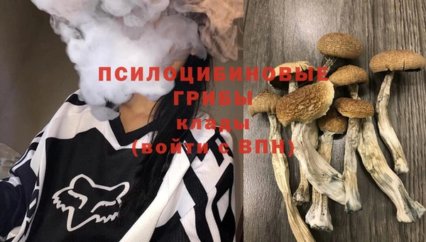 первитин Арсеньев