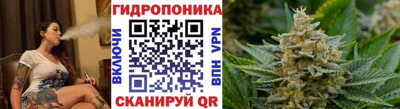 Бошки Шишки Ganja  Талдом 